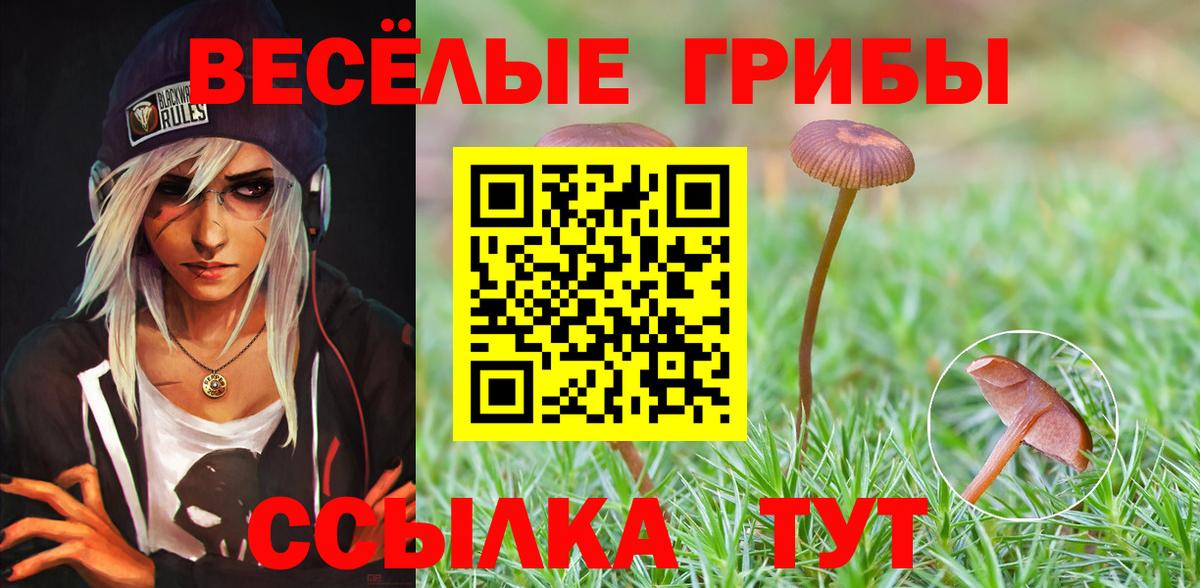 Михайловск  магазин  наркотиков  Вход с VPN  Псилоцибиновые грибы мухоморы 