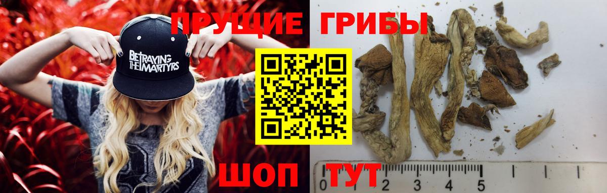 Галлюциногенные грибы MAGIC MUSHROOMS Михайловск